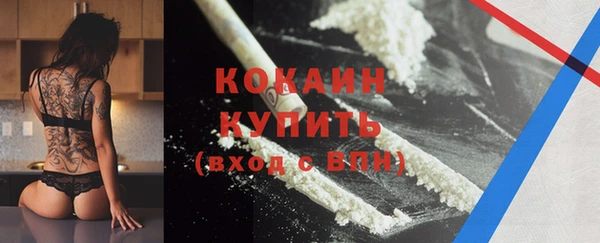 шишки Хадыженск